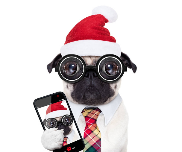 dog office worker on christmas holidays - Foto, Imagem