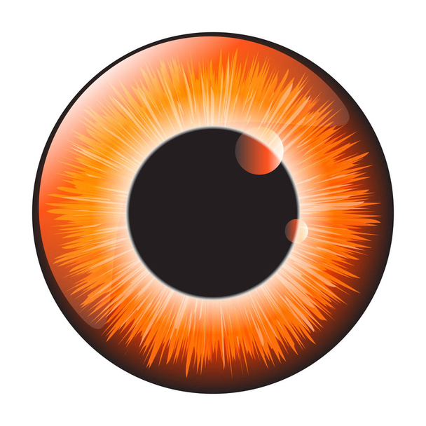 Orange, ela Iris göz gerçekçi vektör tasarım üzerinde izole ayarla. - Vektör, Görsel