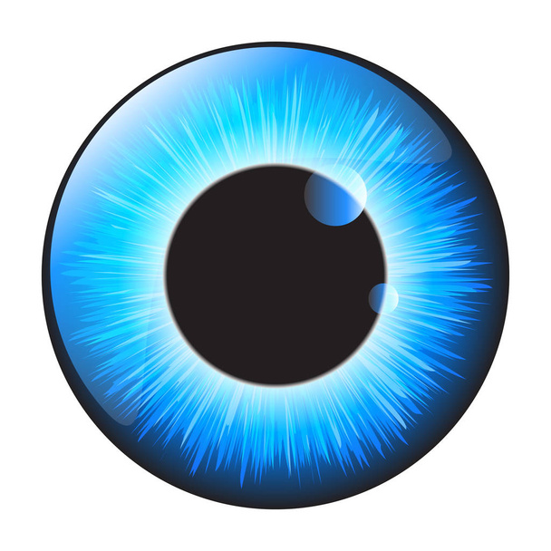 Ojo de iris azul realista vector conjunto de diseño aislado en blanco bac
 - Vector, Imagen