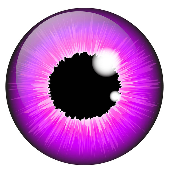紫色のアイリスの目現実的なベクトルは、白で隔離のデザインを設定  - ベクター画像