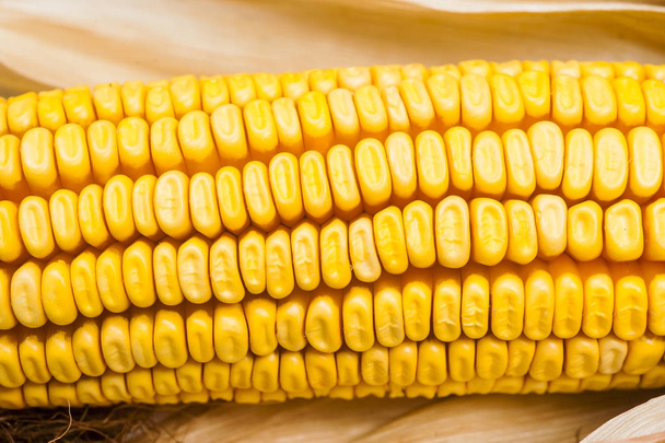 reifen Mais auf weißem Hintergrund - Foto, Bild
