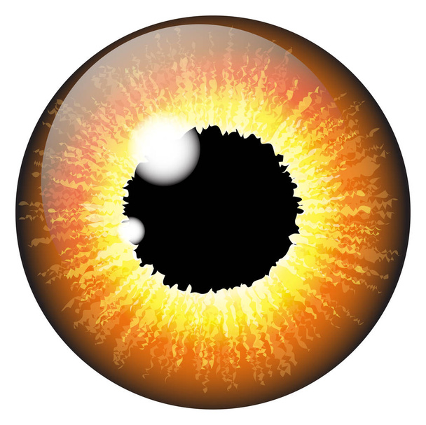 Orange, lísky duhovky oční realistická vektorová scénografii izolované na - Vektor, obrázek