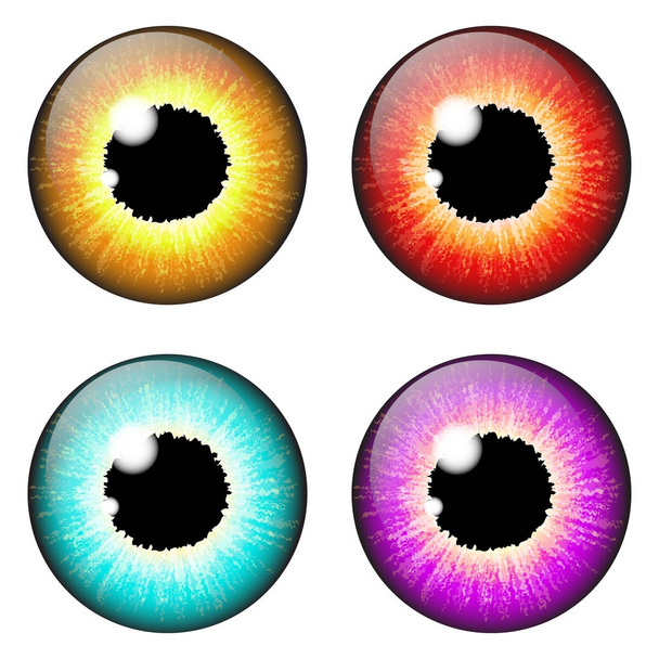  Iris oog realistische vector decorontwerp geïsoleerd op witte backgro - Vector, afbeelding