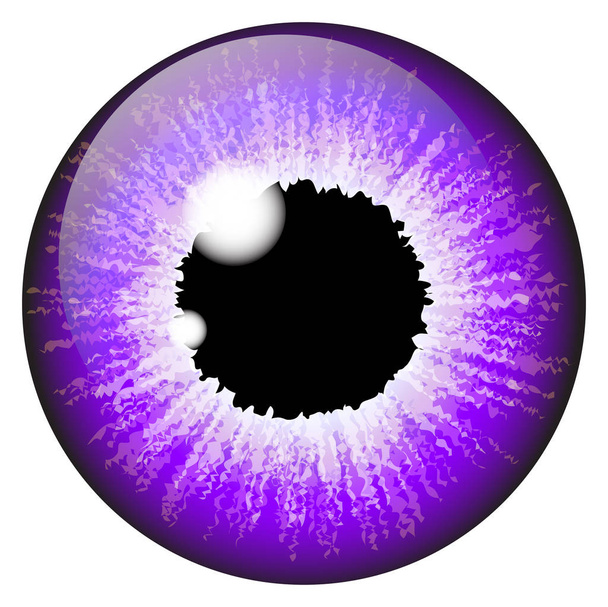 Mor Iris göz gerçekçi vektör tasarım üzerinde beyaz izole ayarla  - Vektör, Görsel