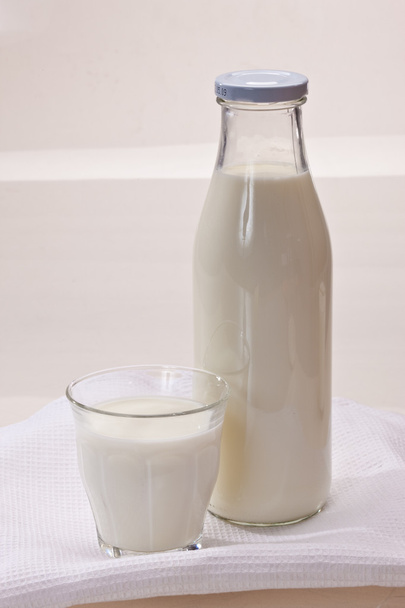 Milk - 写真・画像
