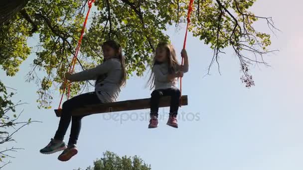 Twee meisjes swingen op een schommel onder een boom. - Video