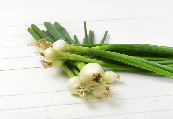 two bunches of spring onion - Photo, Image