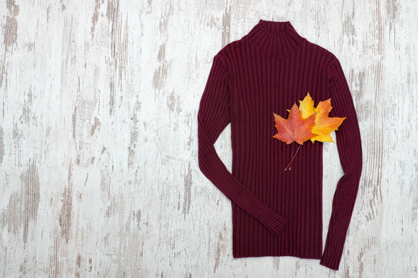 ブルゴーニュのセーターや楓の葉。ファッショナブルな概念。テキストのための場所 - 写真・画像