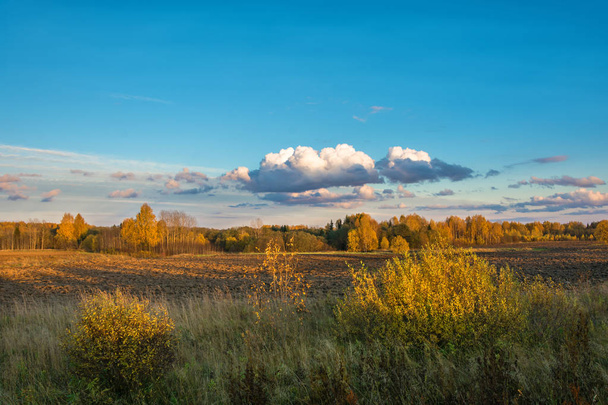 Autumn landscape in the Golden light of the setting sun.  - Photo, image