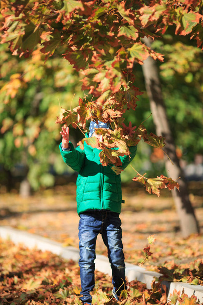 A boy plays in the autumn on the street - Fotoğraf, Görsel