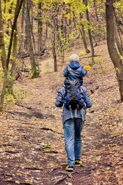 Father with his son on his shoulders walking in the autumn forest. Back view - 写真・画像