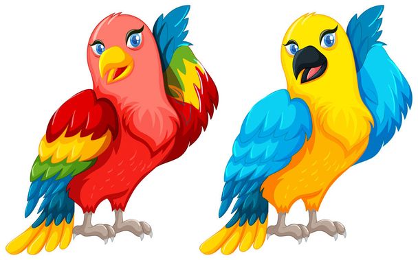 Δύο παπαγάλος πουλιά με πολύχρωμο φτερό - Διάνυσμα, εικόνα