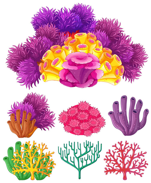 Coral reef on white background - Vector, Image