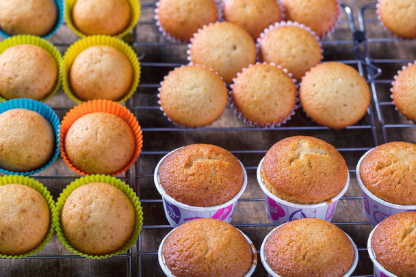 Variedade de cupcakes simples recém-apoiados na bandeja de cozimento
 - Foto, Imagem