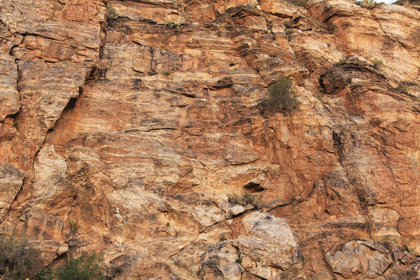 Textura de pared de roca en el Monte Lemmon
 - Foto, imagen