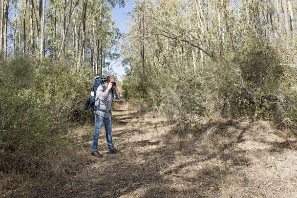 Hiker in the woods - Foto, afbeelding