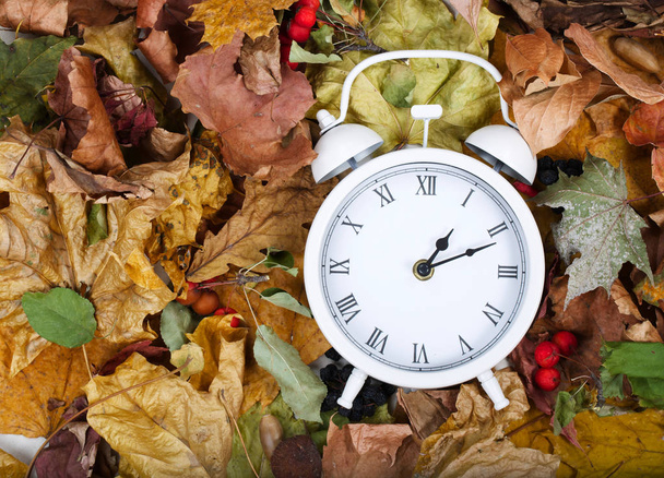 Vintage clock on dry leaves - Photo, Image