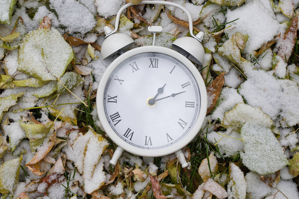 Reloj vintage sobre hojas secas
 - Foto, Imagen
