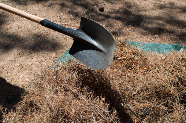 Shovel doing ground working. - Photo, Image