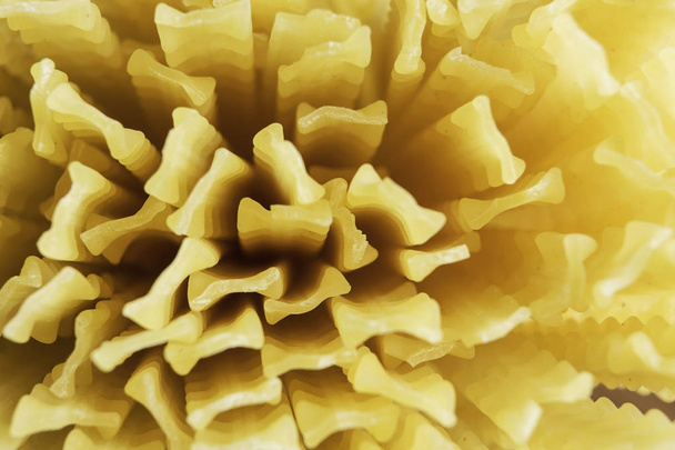 Close of yellow pasta - Photo, image