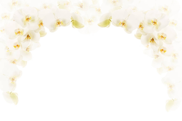 A felső sarokban egy fehér háttér előtt fehér virágzó orichids  - Fotó, kép