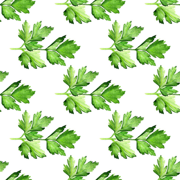 Seamless pattern with  parsley - Foto, Imagen