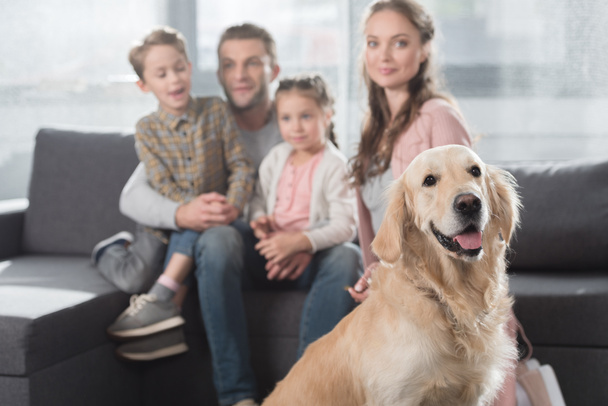 Familie und Hund im Wohnzimmer  - Foto, Bild