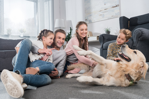 Perhe leikkii koiran kanssa - Valokuva, kuva