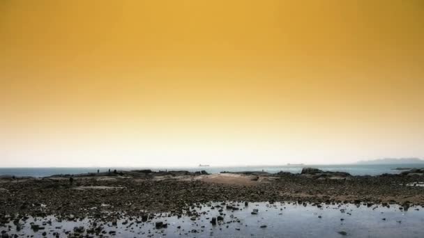 Panorámica de playa y arrecife Ebb, puesta del sol, atardecer
. - Metraje, vídeo