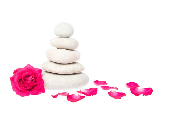 Σωρό από λευκές πέτρες και ένα ροζ τριαντάφυλλο και ροζ τριαντάφυλλο peddels isola - Φωτογραφία, εικόνα