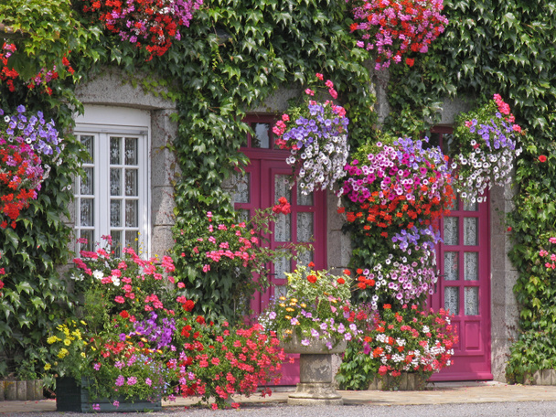 σπίτι με λουλούδια, Βρετάνη, Γαλλία - Φωτογραφία, εικόνα