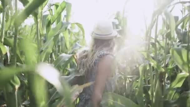 piękna dziewczyna w kapeluszu uruchomiona i uśmiechając się w kukurydzy pola zwolnionym tempie - Materiał filmowy, wideo