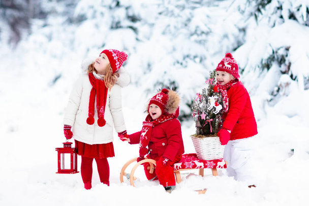 クリスマス ツリーと子どもたち。子供のための雪の冬の楽しみ. - 写真・画像