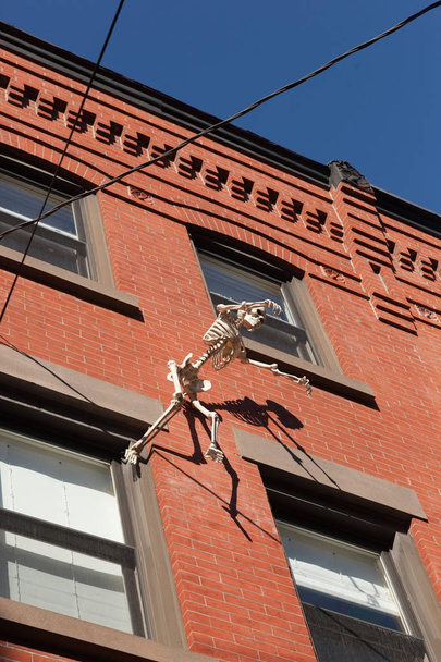 Hoboken Halloween Decorare
 - Foto, immagini