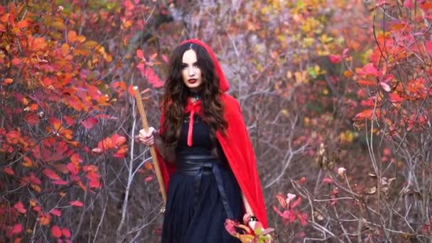 神秘的な秋の森で赤いマントをまとった若いゴージャスなブルネット魔女. - 映像、動画