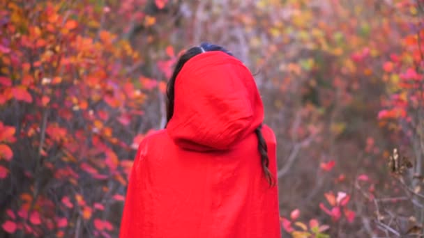 Piros köpenyt a misztikus őszi erdő gyönyörű fiatal barna boszorkány. - Felvétel, videó