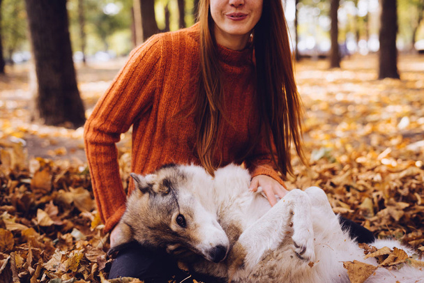 young beautiful red-haired girl in a fashionable orange sweater is walking with her dog in the park, around the fallen autumn leaves - Φωτογραφία, εικόνα