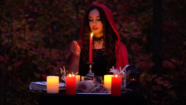 Vonzó gyönyörű barna boszorkány piros köpenyt idézi a misztikus őszi erdőben. boszorkányság szívvel, csirkecomb és sündisznó tűk - Felvétel, videó