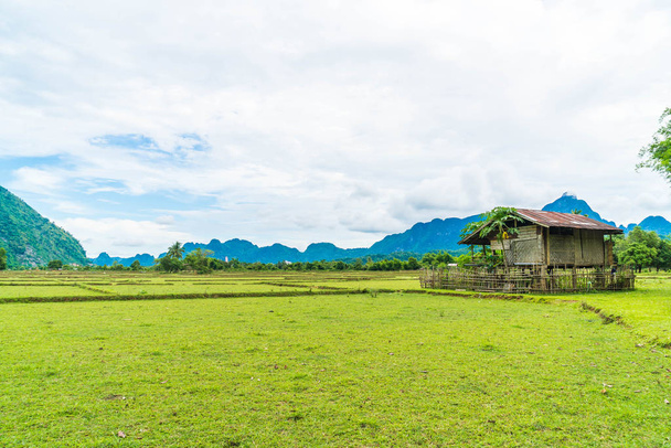  Old house in the fields at Vang Vieng - Foto, imagen