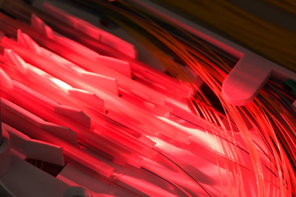 Épissage des fibres sur un plateau d'épices avec lumière laser rouge, gros plan
 - Photo, image