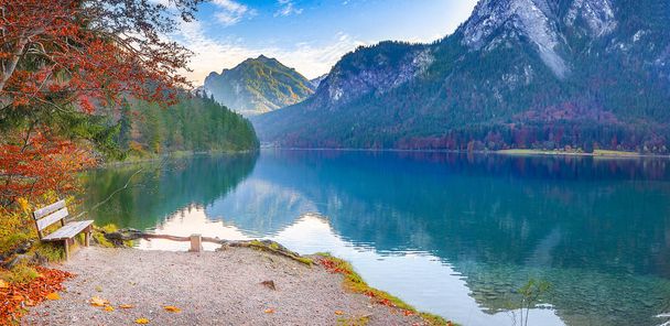 Alpsee 湖岸に木製のベンチ - 写真・画像