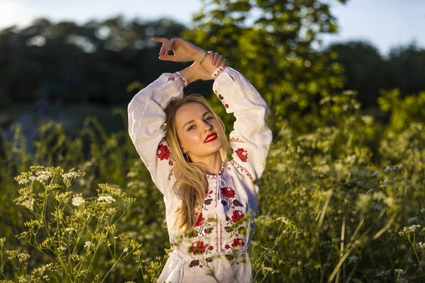 Portrait of a beautiful Ukrainian woman wearing traditional vyshyvanka clothes - Foto, afbeelding