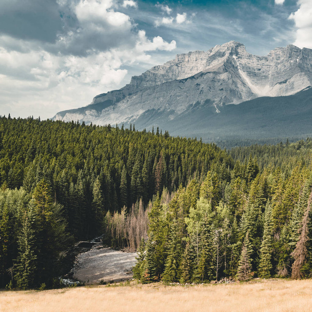 Empty street with mountain panorama in Banff National Park, Cana - Photo, image