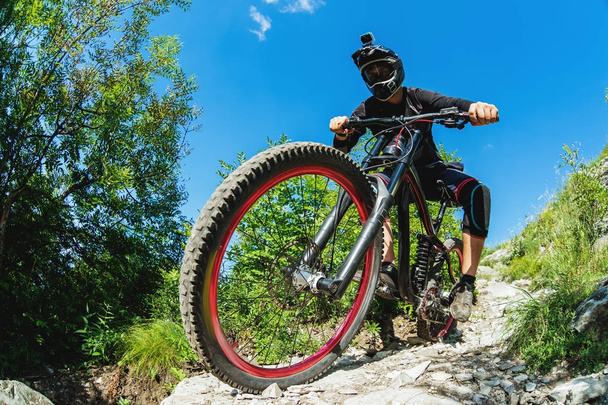Sport. A cyclist on a bike with a mountain bike in the forest - Zdjęcie, obraz