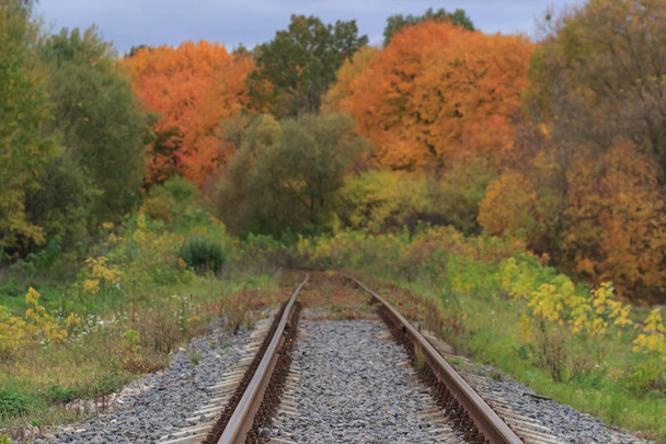 Železniční nebo tramvajové koleje v krásné podzimní mlze parku. vlhkost, světlé teplé podzimní barvy - Fotografie, Obrázek
