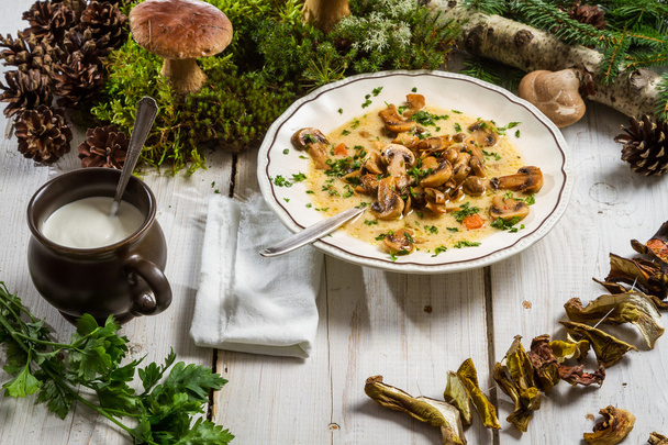Wild mushroom soup and ingredients - Foto, Imagen