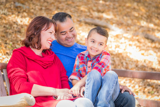 Смешанная расовая кавказская и испаноязычная семья в парке
. - Фото, изображение