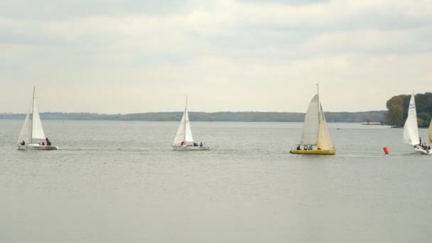 Sailboats nd yachts race across the lake - Footage, Video
