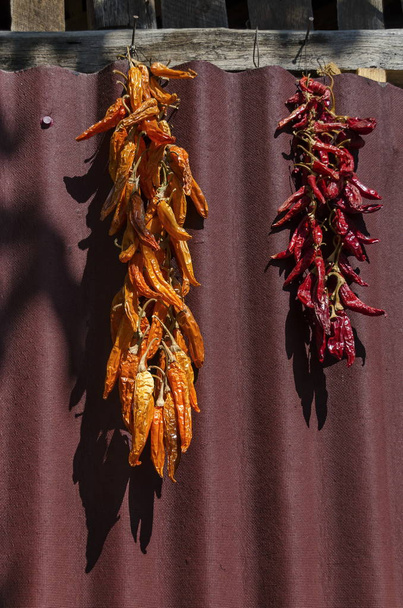 Kaunis houkutteleva merkkijono kuiva kypsä rd ja keltainen chili pippuri ripustettu seinälle
 - Valokuva, kuva