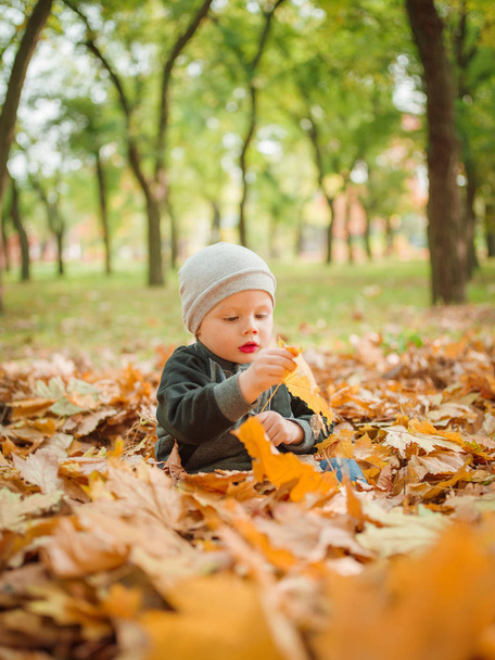 A boy is playing in a leaflet in the park - Фото, зображення